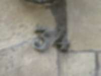 Hausnummer in Genf / Genève