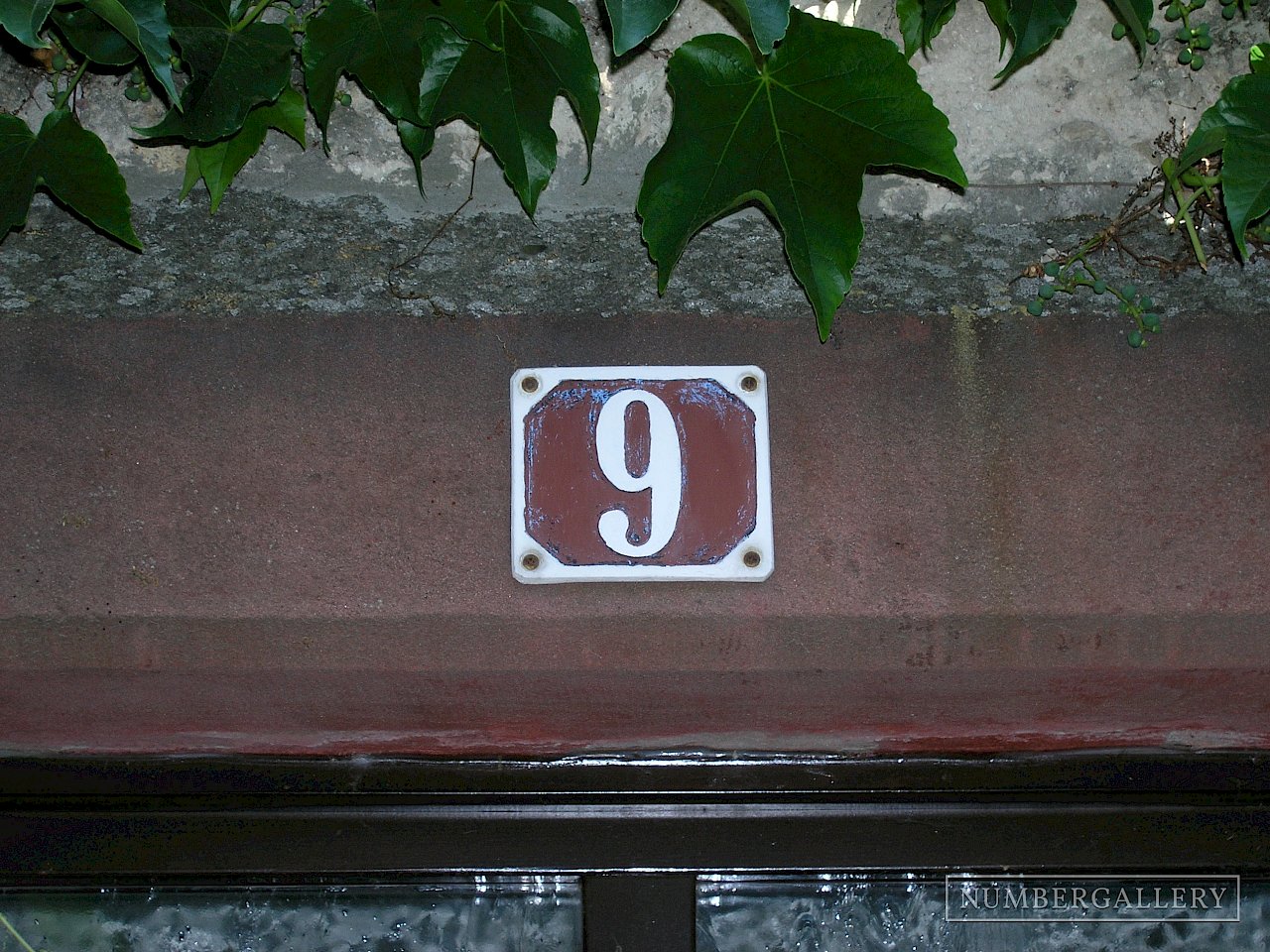 Hausnummer mit wildem Wein in Freinsheim