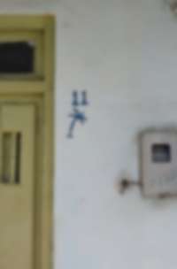 Número de casa con palma