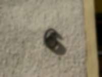 Hausnummer in Wismar