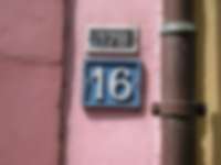 Rosa mit Doppelnummer