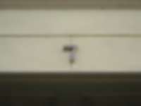 Hausnummer in Stralsund