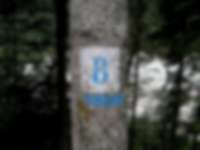 Markierung in den Dolomiten