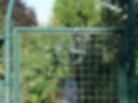 Gartennummer in Frankfurt am Main