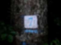 Markierung in den Dolomiten