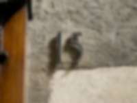 Hausnummer in Genf / Genève