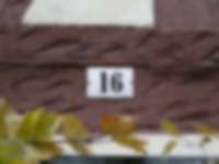 Zwischen Draht und Wein