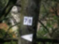 Strommast in Cunewalde