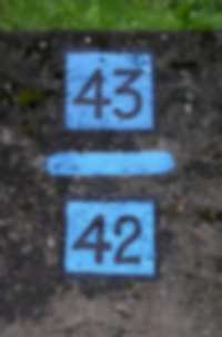 Doppelnummer