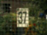 Schrebergarten in Frankfurt am Main