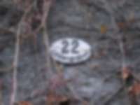 Löwengraben