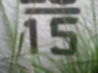 Grenzstein in der Nähe des Dreiherrensteins