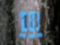 Markierung in den Dolomiten