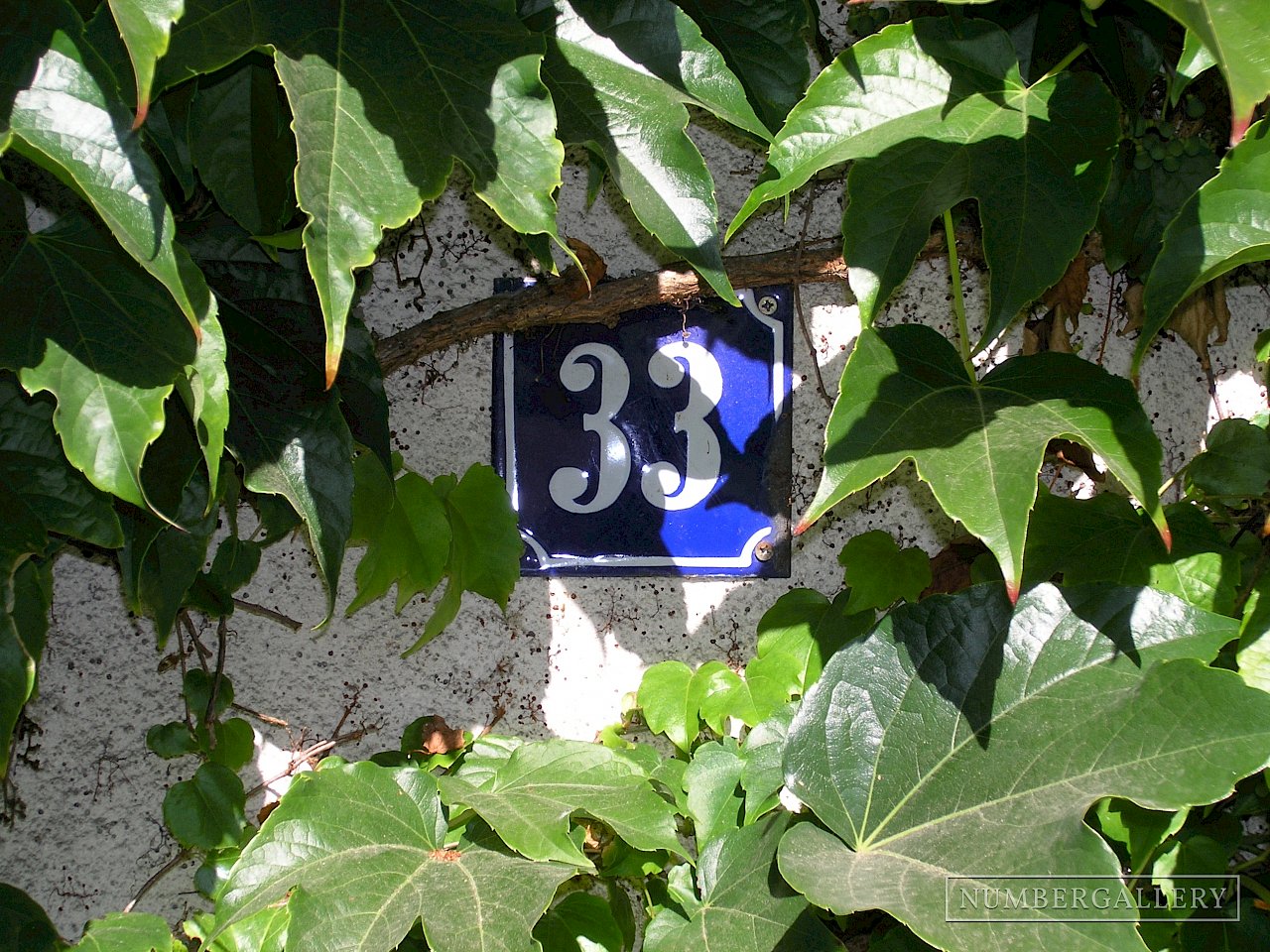 Hausnummer im Blätterkranz in Freinsheim
