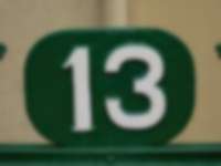 Grüne 13 auf Gartentor