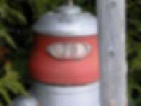 Hydrant zwischen Pfosten und Hecke
