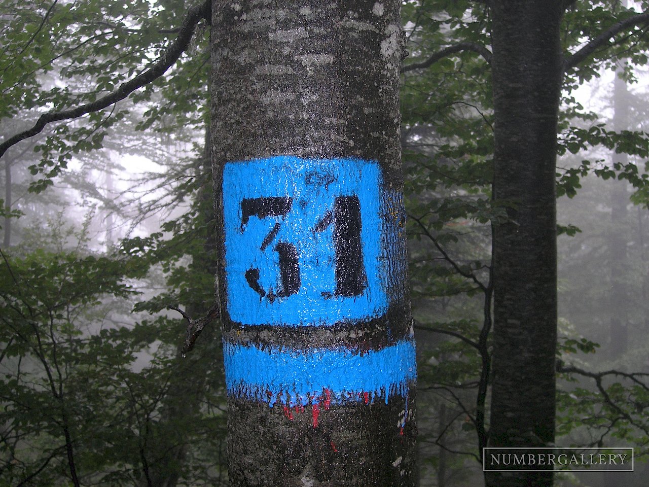 Markierung in den Dolomiten