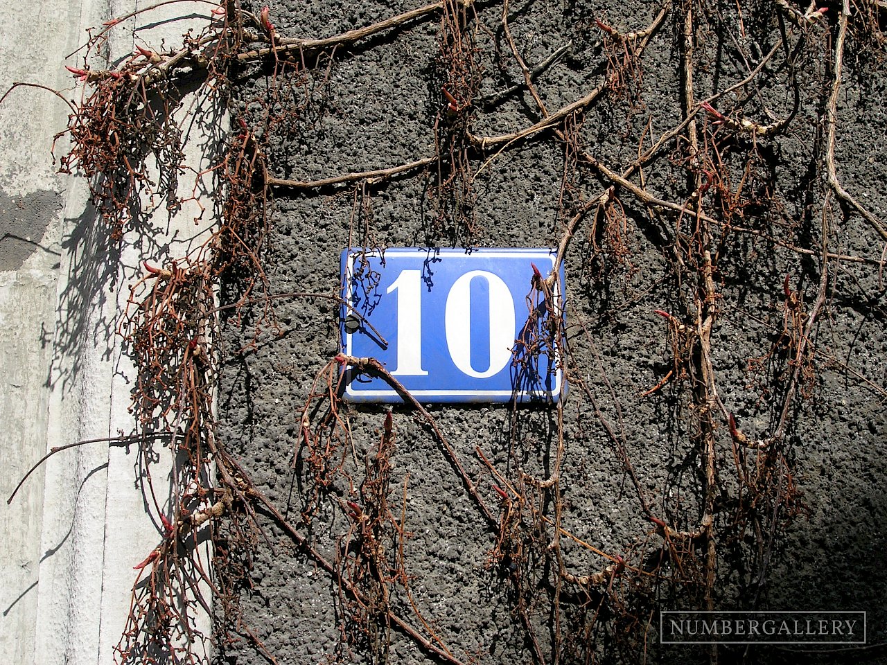 Hausnummer im wilden Wein