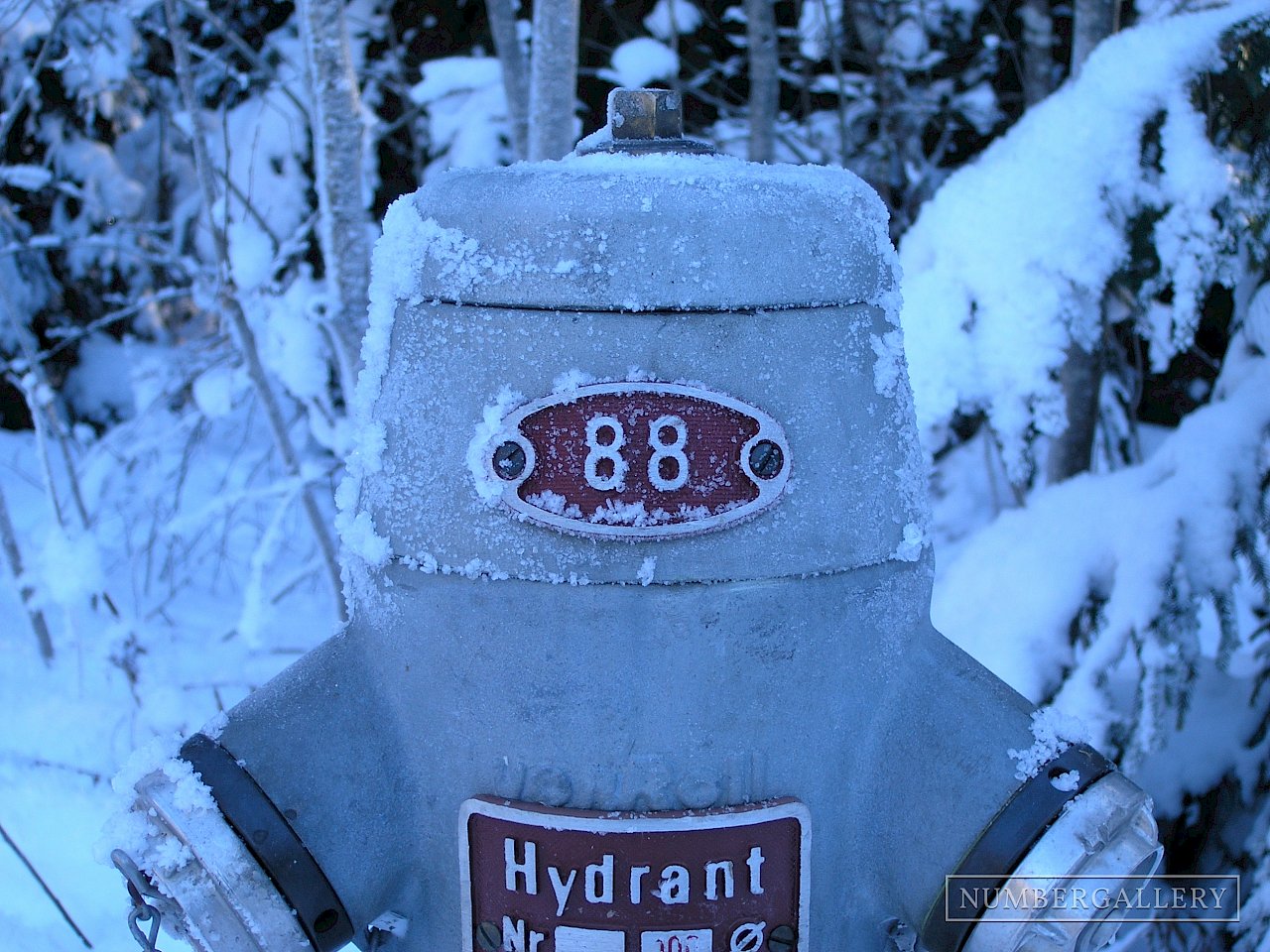 Eingeschneiter Hydrant