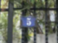 Gartentor-Hausnummer in Genf / Genève