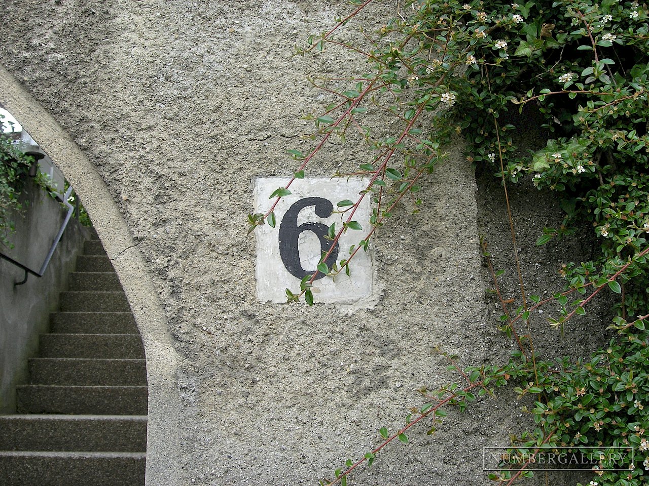 Immergrüne Hausnummer in Bern