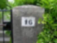 Efeu-Lorbeer-16