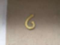 Hausnummer in Ettenheim