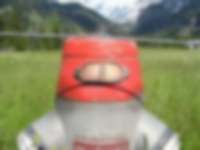 Hydrant auf der Weide