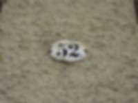 Hausnummer in Dresden