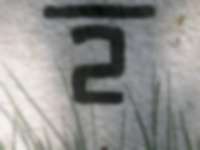 Grenzstein in der Nähe des Dreiherrensteins