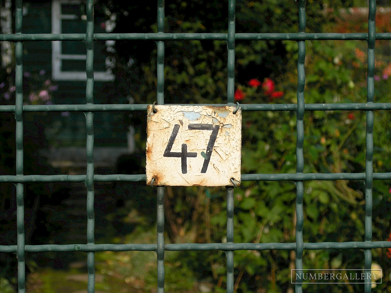 Schrebergarten in Frankfurt am Main