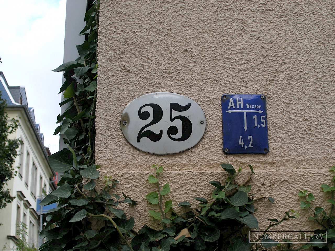 Zuwachsende Hausnummer in Dresden