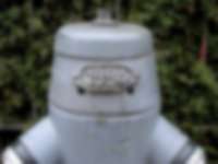 Hydrant mit weniger Grün in Bern